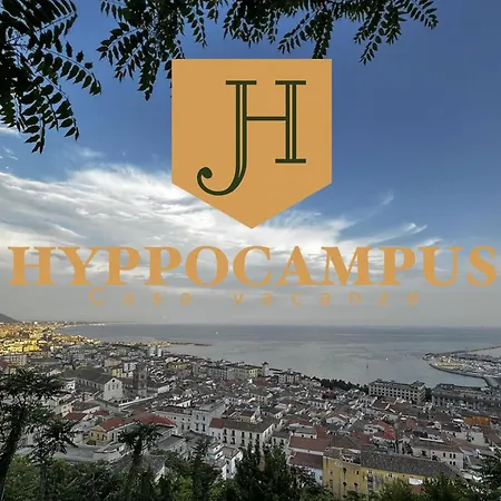 Hippocampus